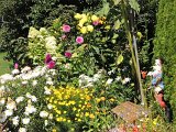 blumen2 005.JPG